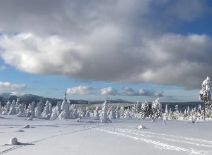 P3 – Pralinka (oblast Paprsek)